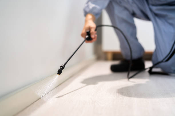 Certified termite inspector examining foundation in Monticello