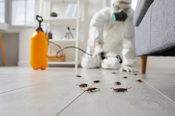 Post-Treatment Bed Bug Interceptor Monitoring in Monticello