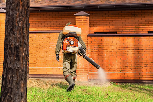 Bed Bug Clearance Verification and Documentation in Monticello